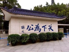 整个台湾被意挟着